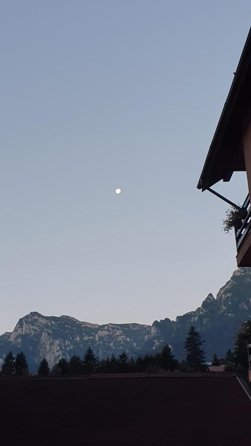 Pensiunea Luna Szászbuda Kültér fotó