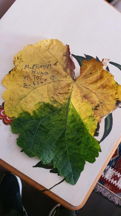 Pensiunea Luna Szászbuda Kültér fotó